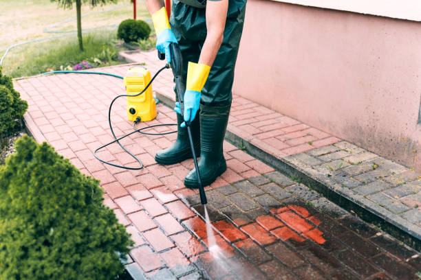 Professional Driveway Paving Services in Ridgewood, IL